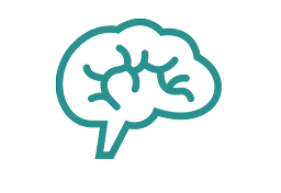 brain