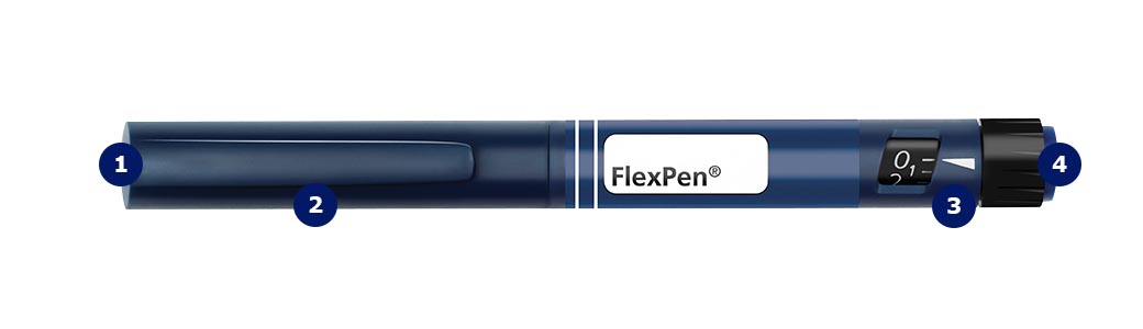 Dark blue FlexPen with ordered list numbers.