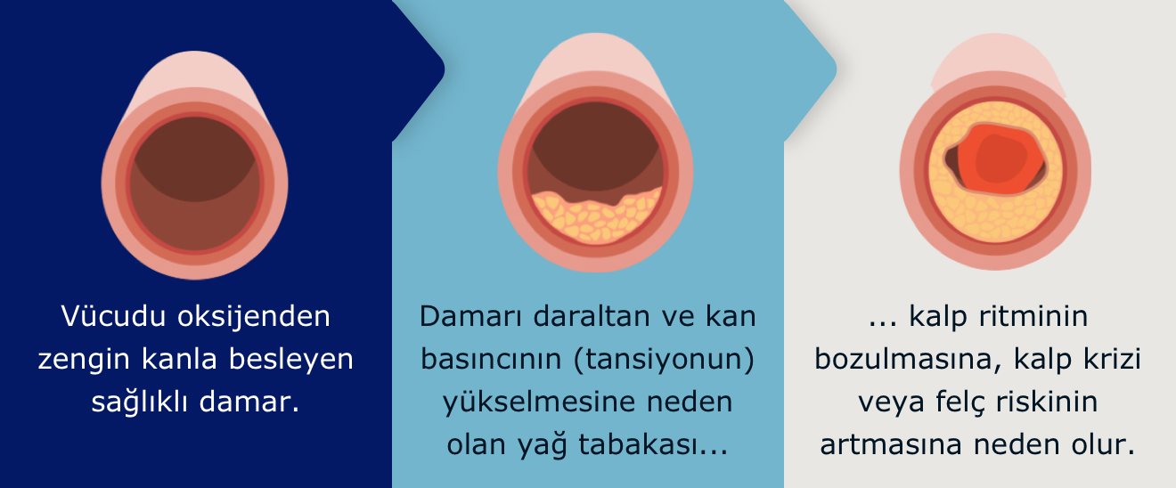 yüksek tansiyon ve kardiyovasküler hastalık riski 170 tansiyon